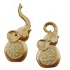 Radiant Elephants  Set of 2